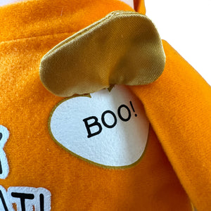 Vintage Rare Large 'Trick or Treat' Halloween Ziggy Orange Pumpkin Plush Toy Rag Message Doll 10" with Fuzz Dog Costume 2005 Collectible