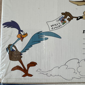 Looney Tunes Wile E Coyote & Road Runner Looney Tunes Cartoon Mailing Shipping or Storage Cardboard Box Vintage USPS Postal Service Collectible 2000