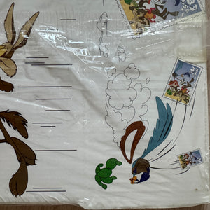 Looney Tunes Wile E Coyote & Road Runner Looney Tunes Cartoon Mailing Shipping or Storage Cardboard Box Vintage USPS Postal Service Collectible 2000
