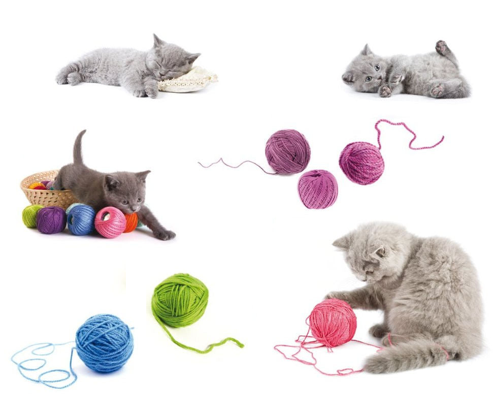Playful Kitty Cats Kitties Kittens Playing with Balls of Yarn Wall