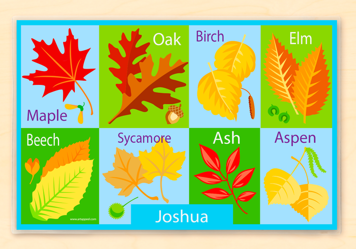 Fall Leaves Personalized Placemat 18" x 12" with Alphabet