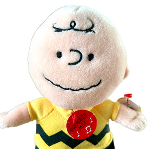 Peanuts Charlie Brown 8" Push Toy Rag Doll 2011 Original TY Beanie Babies with Sound Collectible